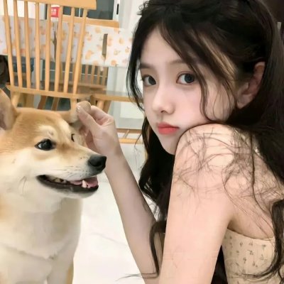 画上结语 在线观看